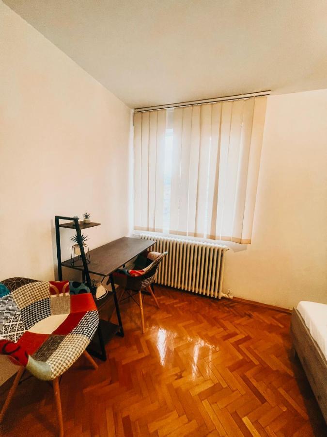 Ultracentral Big Apartment - Near The Opera Square P17 Timişoara Exterior foto
