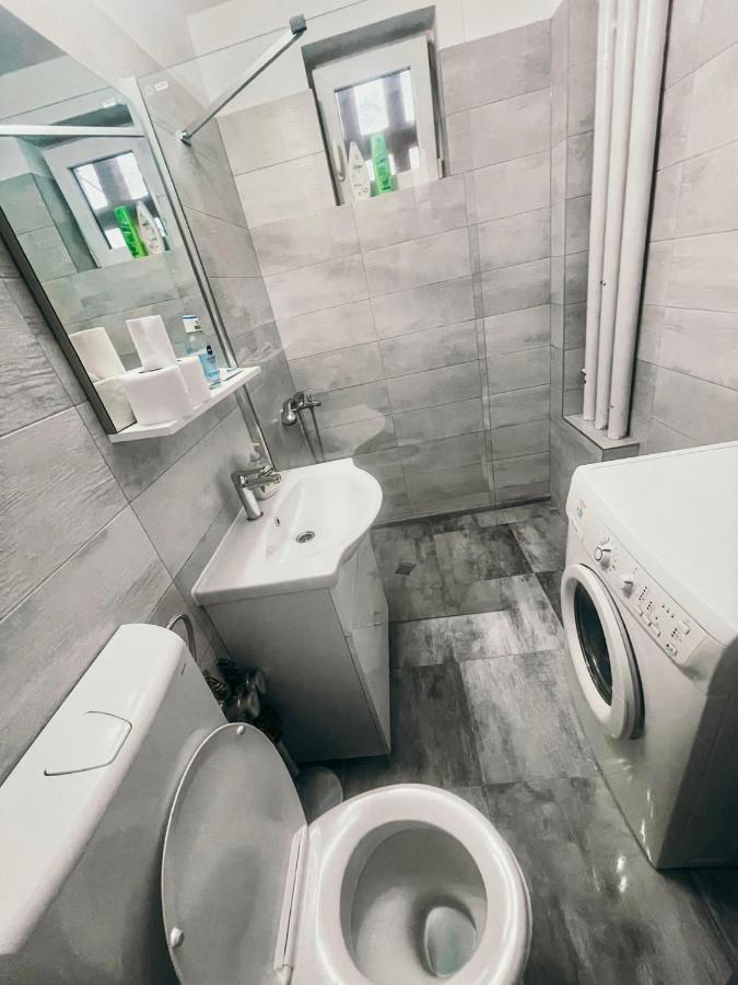 Ultracentral Big Apartment - Near The Opera Square P17 Timişoara Exterior foto